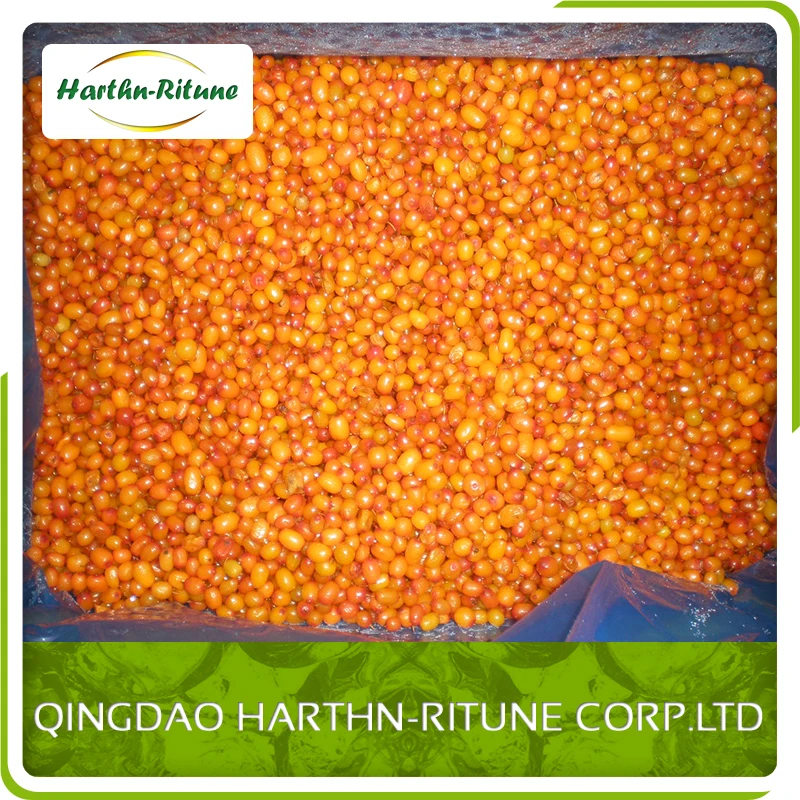 Wholesale Price IQF Frozen Fruits Bulk 10kg Frozen Sea Buckthorn