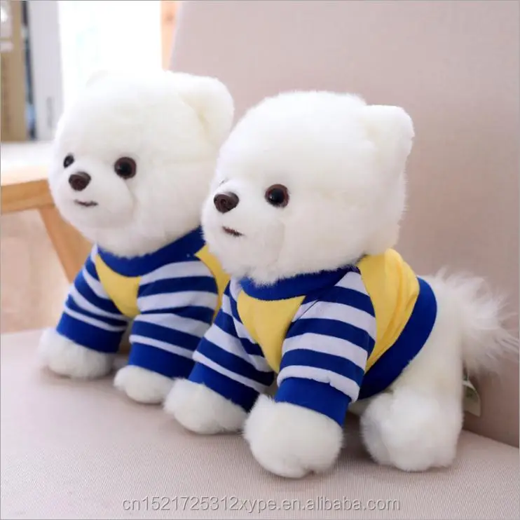 pomeranian white teddy bear