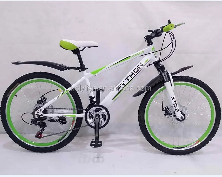 Steel Green Simple Bike /bicycle/cycle 