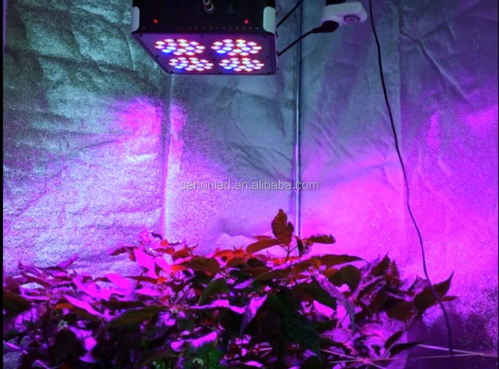 Horticulture LED Green Lamp Apollo 4: Reliable Indoor Plant Grow