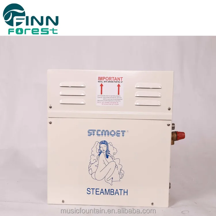 Оптовая продажа портативный Электрический парогенератор сауны 3 кВт 6 9 12