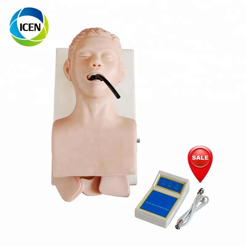 IN-406medical преподавания тренировки интубации модель человека интубации трахеи Манекен Модель новорожденных дыхательные пути интубации