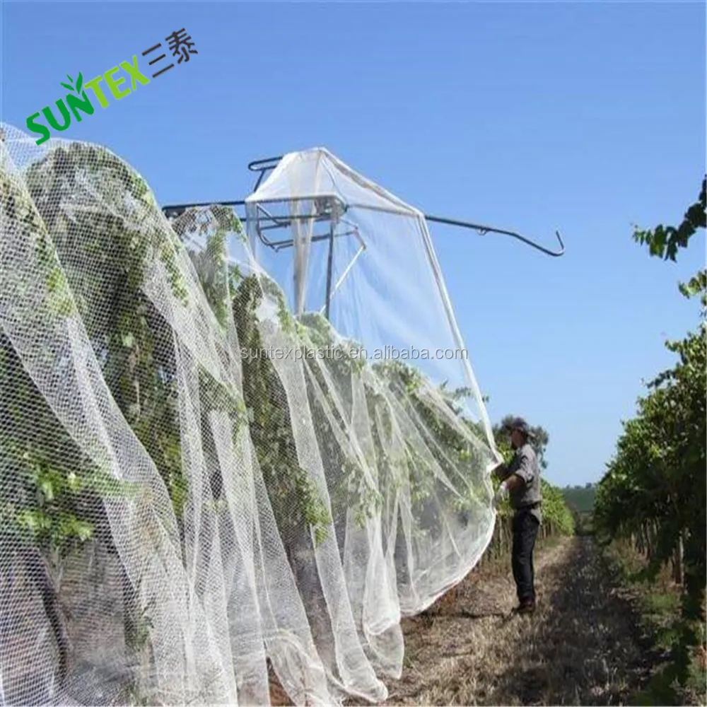 UV Resistant HDPE Agticulture Bird Net/Fishing Net - China Fishing