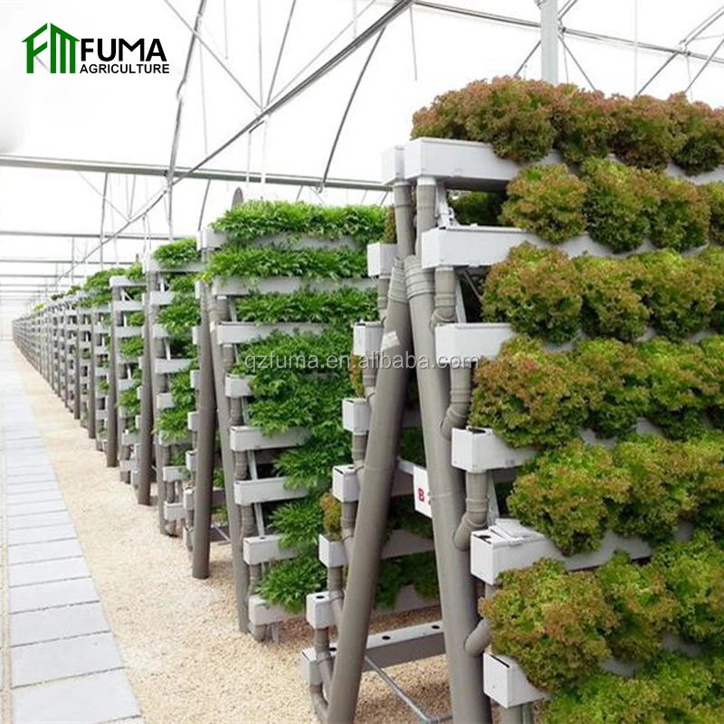 FM Low Cost Commercial Greenhouse Vertical Hydroponic Grow Systems for Sale