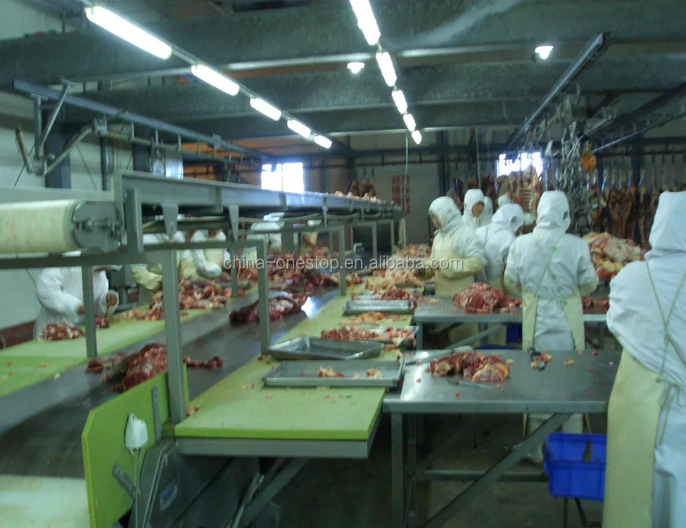 Cattle Slaughter Stainless Steel PVC Beef Boneless Conveyor