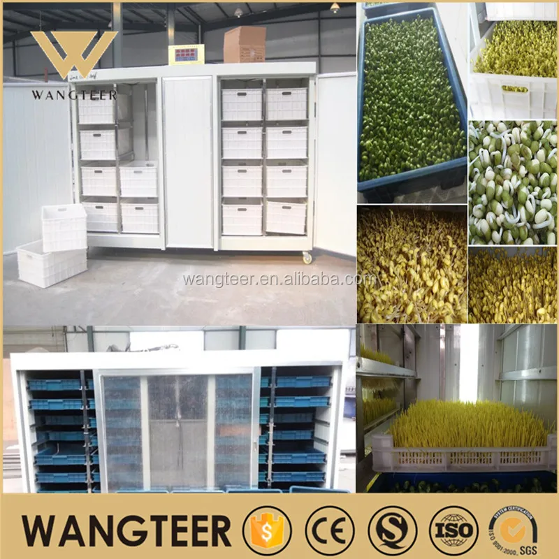 QQ20140905085826_