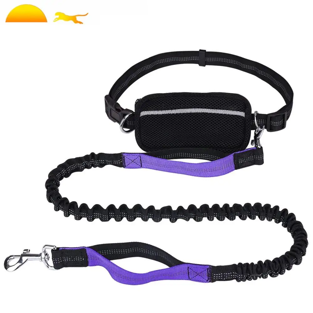Download Wholesale Custom Nylon Double Handle Pet Lead Reflective Retractable Hands Free Dog Leash For Running Walking Buy Running Dog Leash Hands Free Hands Free Running Dog Lead Adjustable Reflective Hands Free Dog Leash