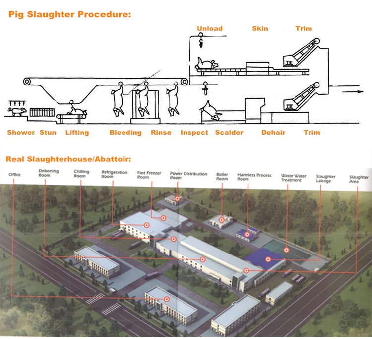 Automated pig slaughtering production line for pork slaughterhouses and processing plants