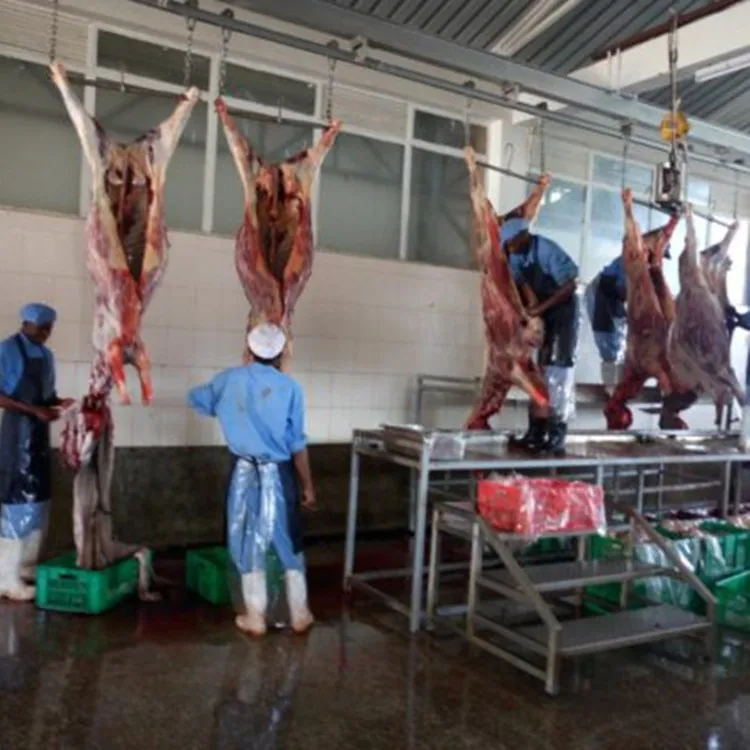 Slaughter line automated donkey meat processing equipment