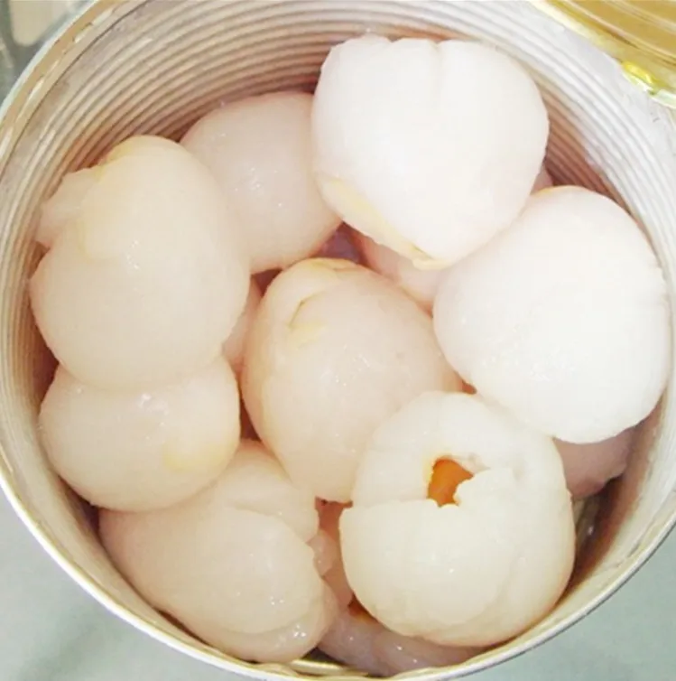 Canned Lychee/lichee Whole in Syrup China Best Canned Fruit