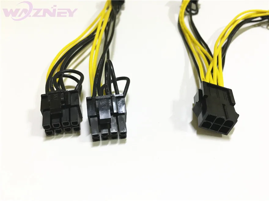 dual 8pin----4.jpg