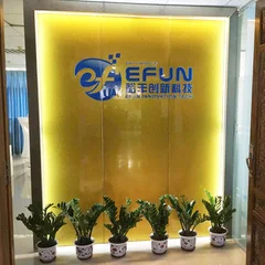 Shenzhen Efun Innovation Electronic Technology Co., Ltd. 1