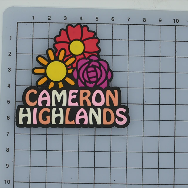 China OEM Factory Custom 3D Logo Soft Rubber PVC Fridge Magnet