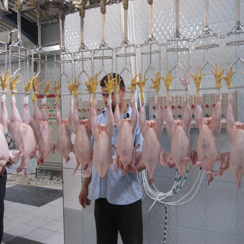 鶏ウズラ食肉食肉処理場ハラール肉オーバーヘッドコンベアライン処理装置 Buy 食肉加工機器とツール 家禽 Slaughterhouse 機器 ブロイラー加工工場 Product On Alibaba Com