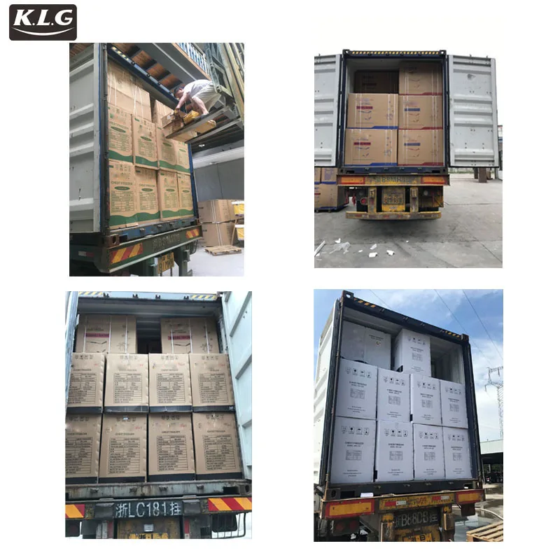 40 Feet Container Cold Storage Industrial Refrigerator Gas Fridge Iqf Tunnel Refrigerator lg Chest 50 Liter Deep Freezer