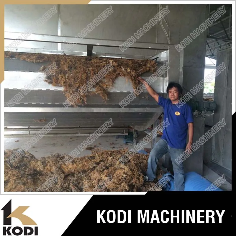 KODI Continous Mesh Belt Seaweed Processing Machine