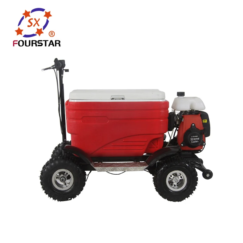 Professional Factory Outlet Gasoline Food Keeper Camping Using Motorized Cooler Scooter