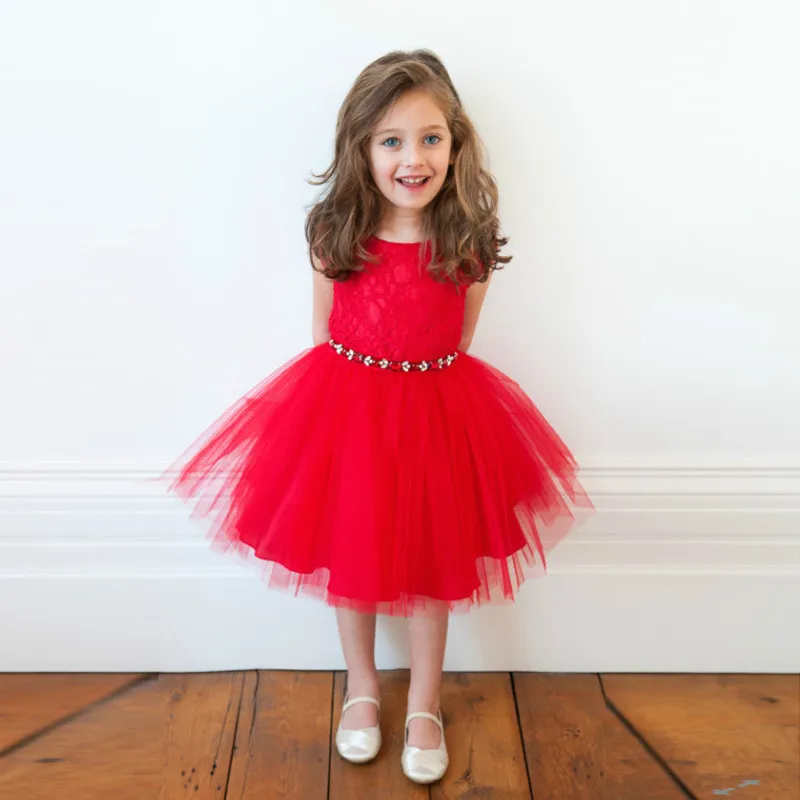 Summer Pure Red Lace Mesh Embroidery Gown font b Fancy b font font b Dresses b