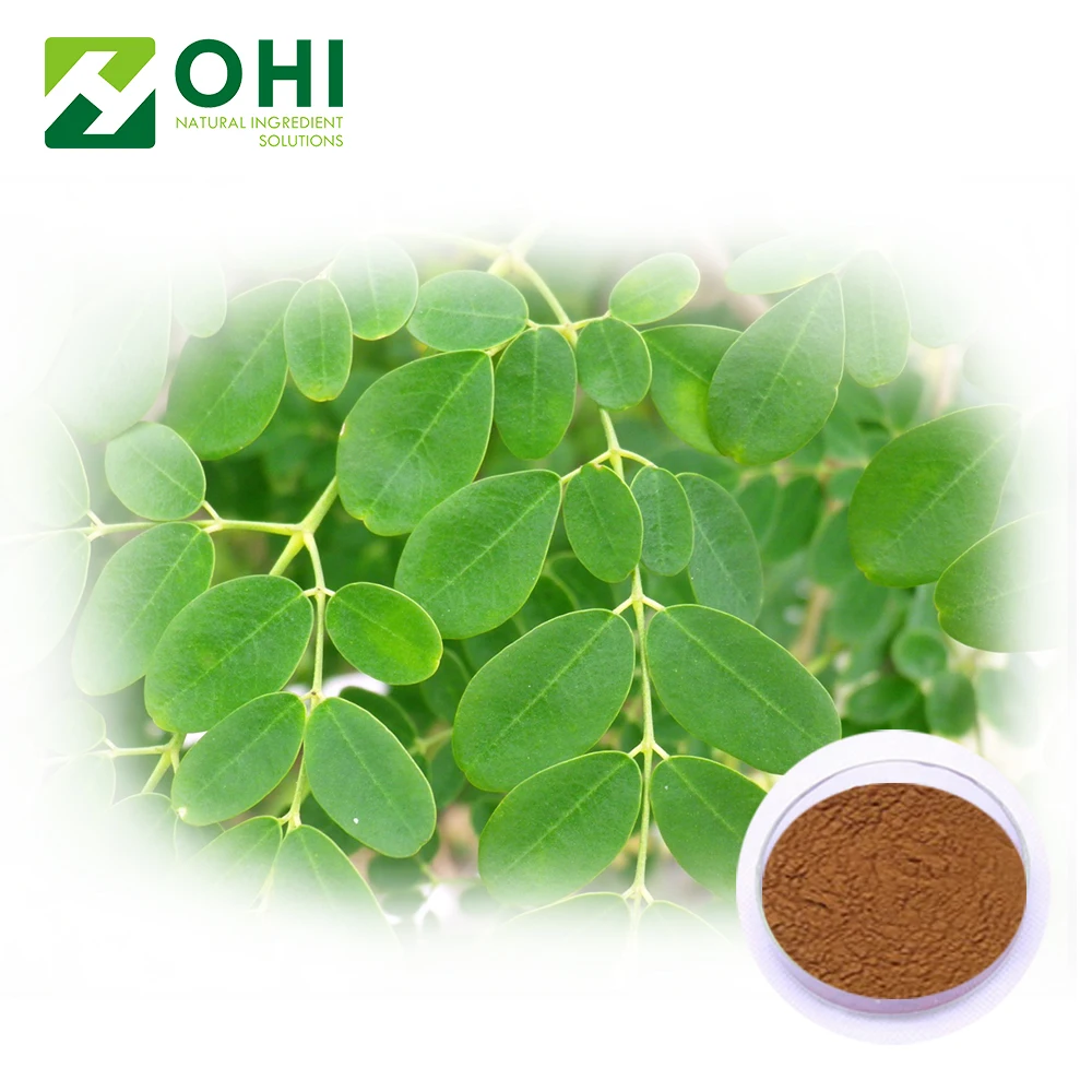 Extracto Natural De Plantas Polvo De Hoja De Arbol De Moringa Para La Salud Buy Extracto De Planta Natural De Alta Calidad Hoja Del Arbol De Moringa Powder Salud De Planta Natural Hoja