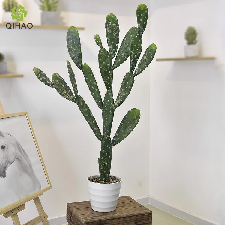 monstera thai constellation xxl Thai Monstera Constellation | Including Care Guide main image 0