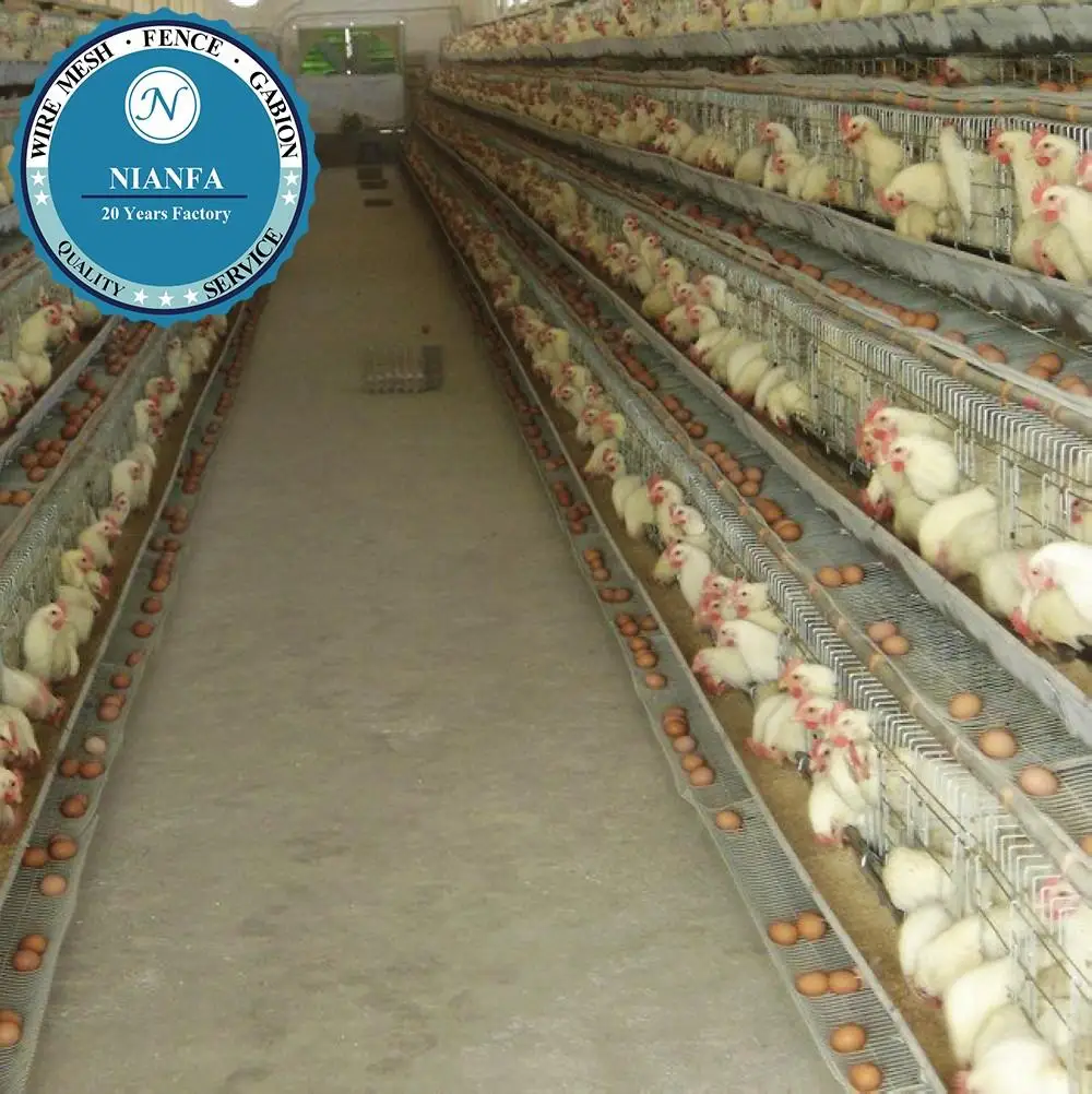 Otomatik Tavuk Damlama Temizleme Zambiya Tabak Kumes Hayvanlari Ciftlik Tavuk Kafesi Guangzhou Fabrika Buy Layer Poultry Cages For Kenya Farms Poultry Layer Cage For Sale Uganda Poultry Farm Automatic Chicken Layer Cage Product