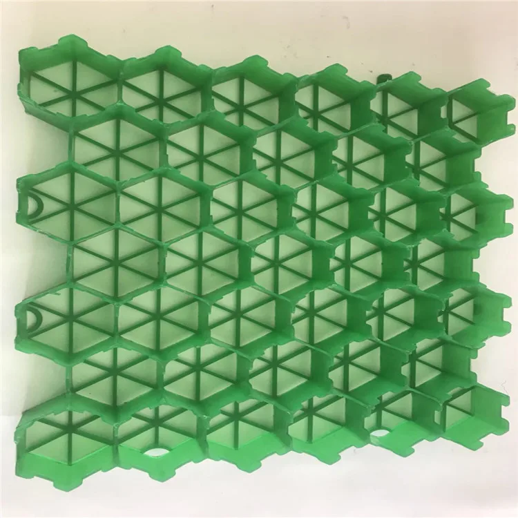 Earthwork Product Grass Paver Turf Cell in Other Premium Grass Paver Grids
