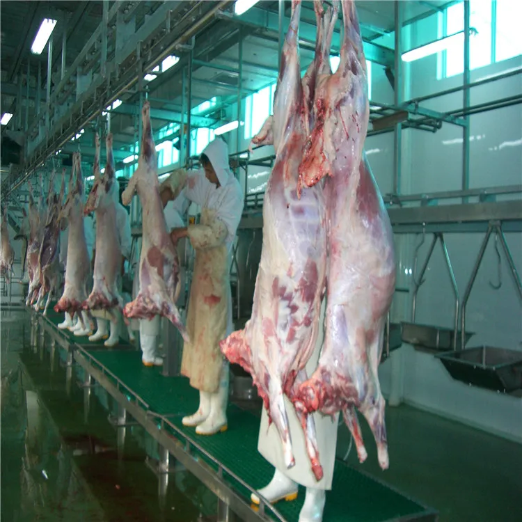 1000 Sheep Slaughter Equipment Sheep Breeding Slaughterhouse