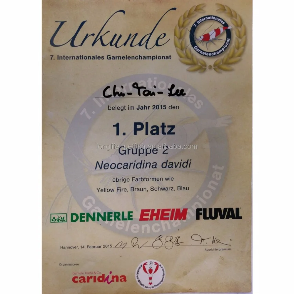 Горячая Распродажа рыба аристохромис красный топ