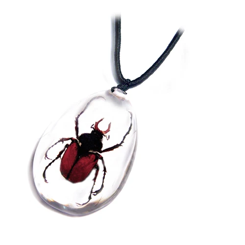 real insect jewelry