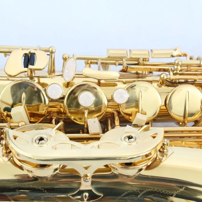 Student Bb Tenor Saxophone Popular Musical Instrument for Beginners and Enthusiasts