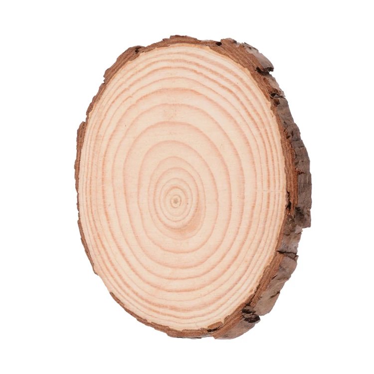 Bulk Custom Assorted Pack Pine Wood Pieces Tree Branch Decorative Round Large Wood Slices for Art Crafts