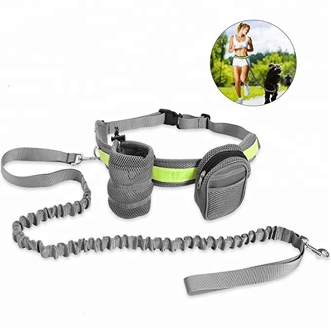 ergonomic dog leash