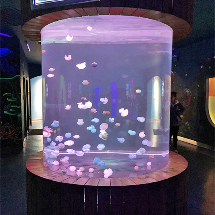 Медуза живая купить. Аквариум с медузами. Круглый аквариум с медузами. Большой аквариум с медузами. Домашний аквариум с медузами.