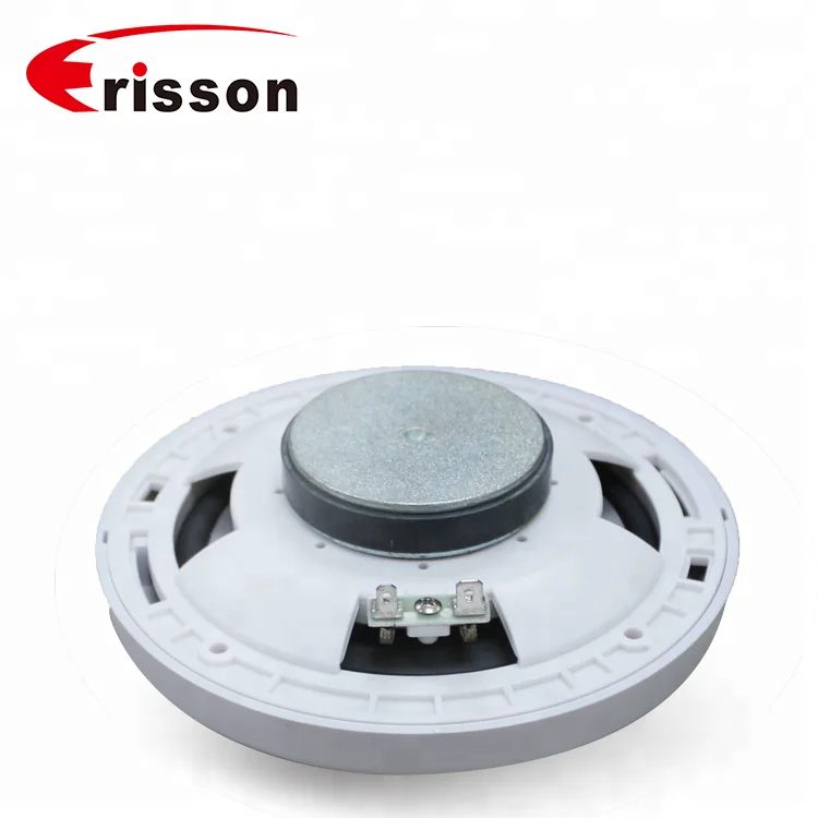 OEM 6.5 Inch 20W IPX6 Waterproof Caravan House RV Speaker