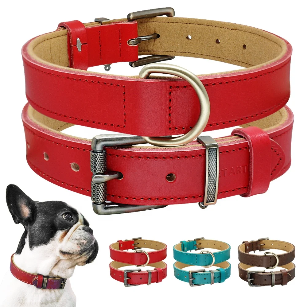 premium dog training collar