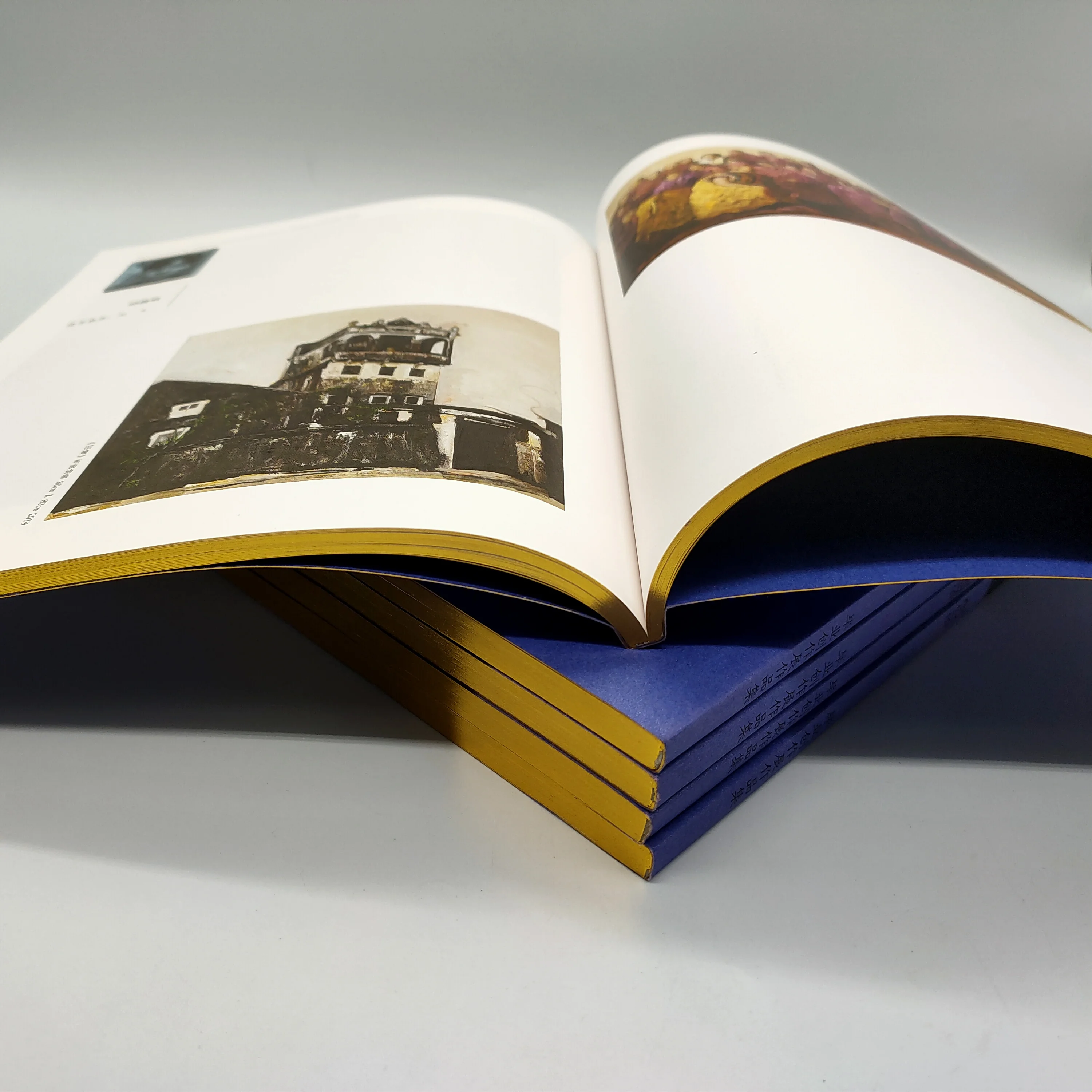 Пользовательская 100% биоразлагаемая переработанная цветная книга, услуги печати с фольгой, тиснение золотым краем