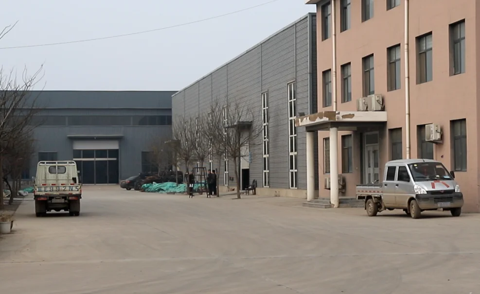 Hebei Leyou Bicycle Co., Ltd. 1