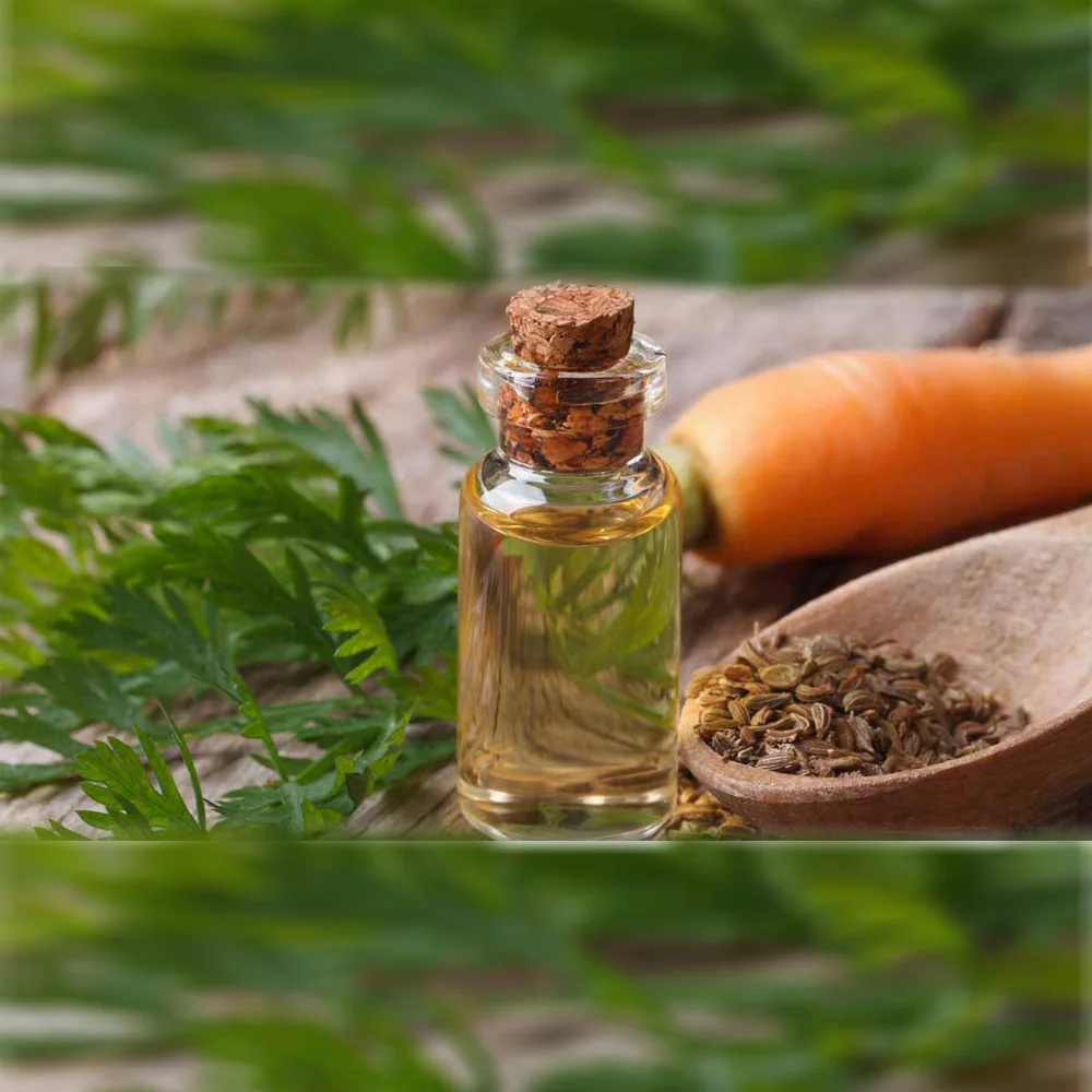 Carrot Seed Oil Botanical Beauty 0.33 Fl oz - 10 ml.