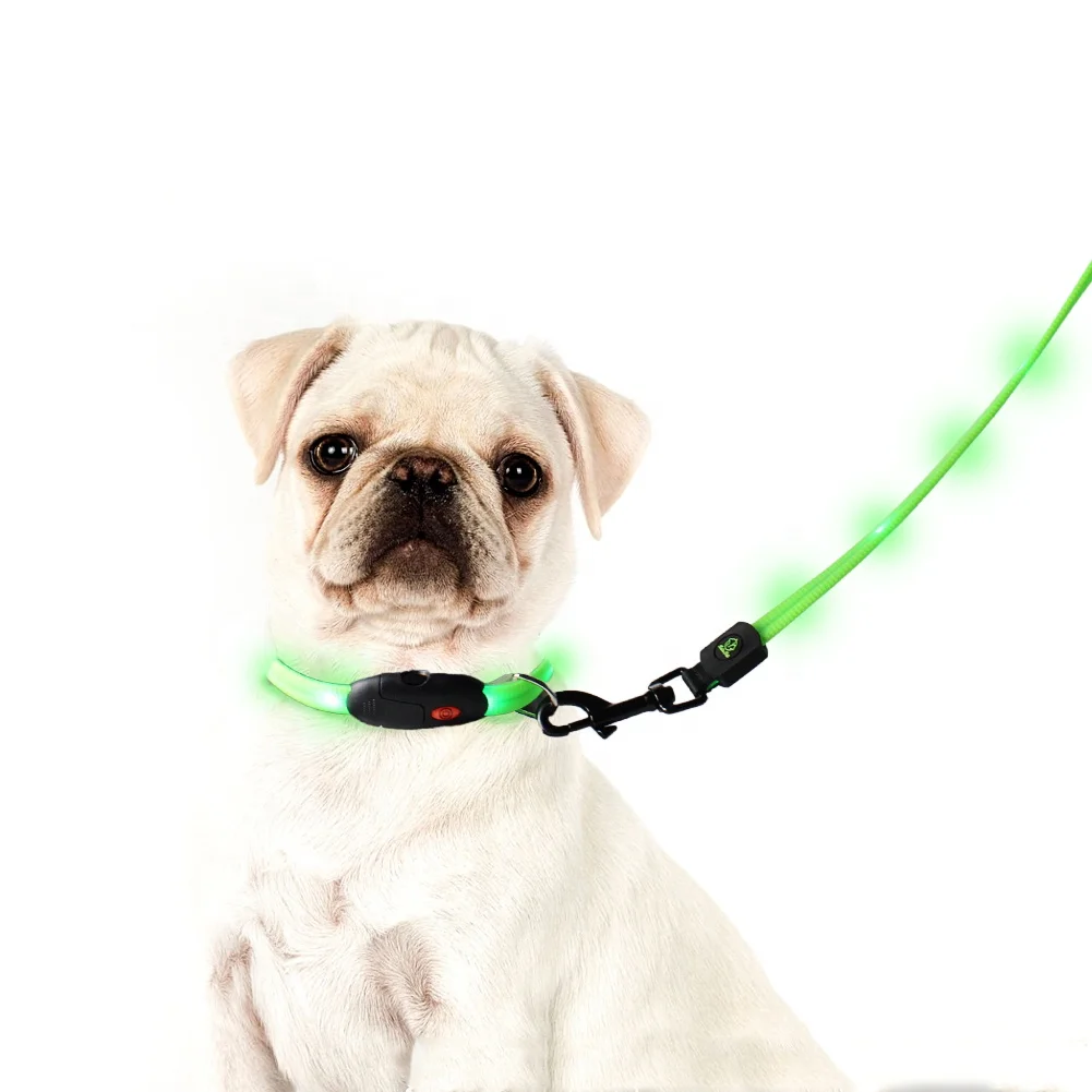 led pet leash