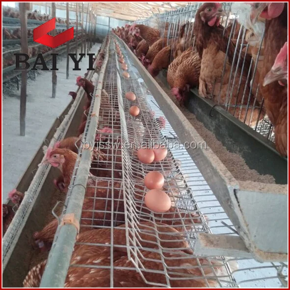Discount Poultry House Design for Layers in Kenya Farm