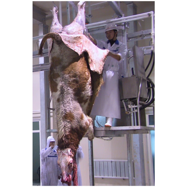 Halal meat slaughtering process camel with high quality slaughterhouse machine