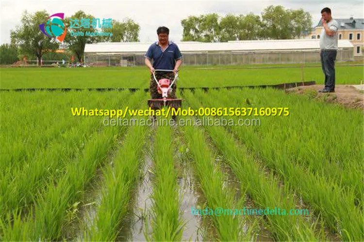 Paddy Weeding Machine Rice Weeder Rice Weeding Machine Paddy Field Weeder for Sale