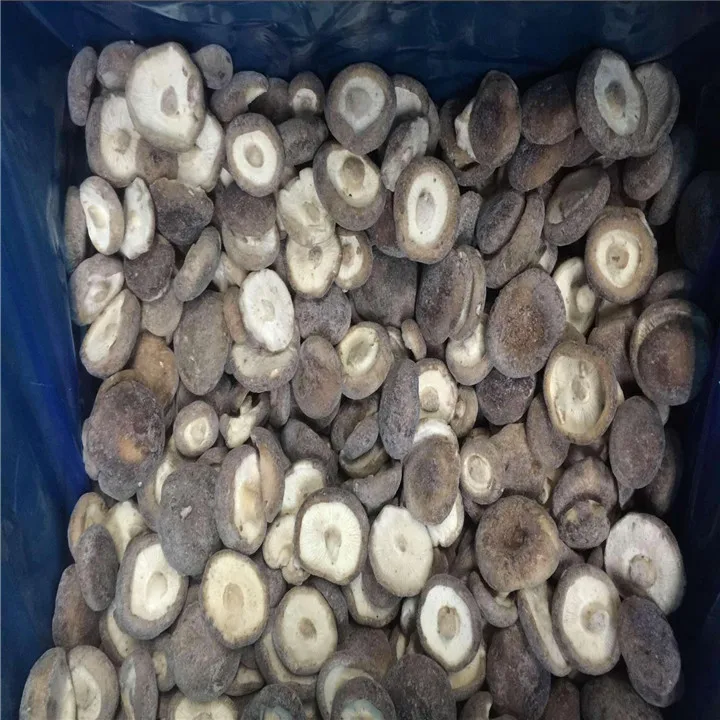 Export Top Grade IQF Frozen Shiitake Mushroom With Competitive Price