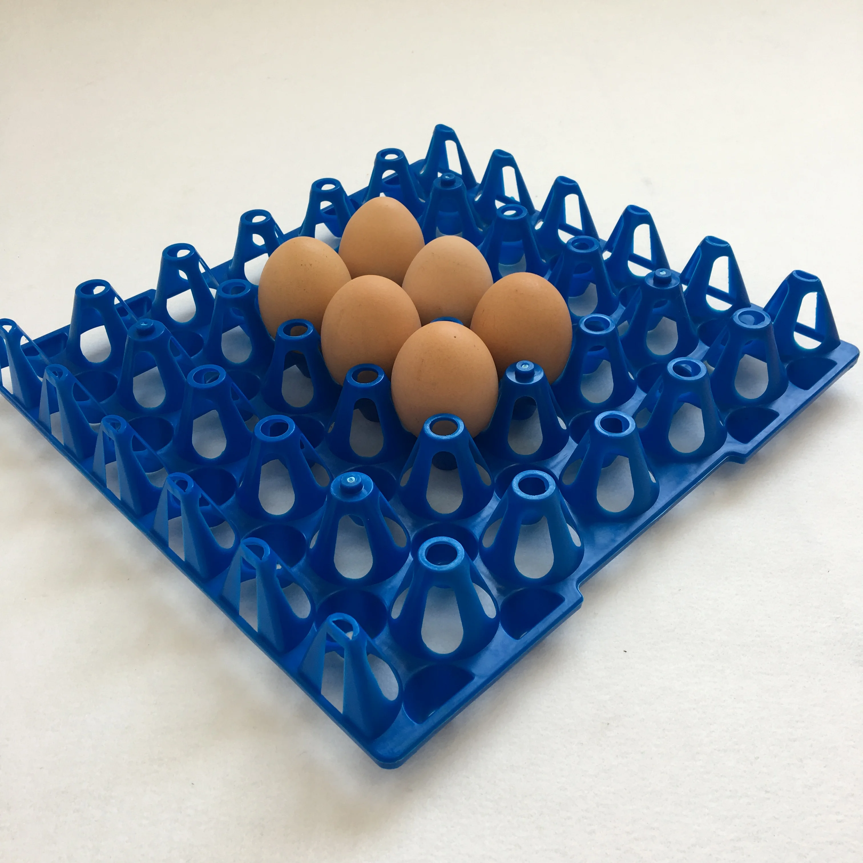 Лоток для яиц пластиковый