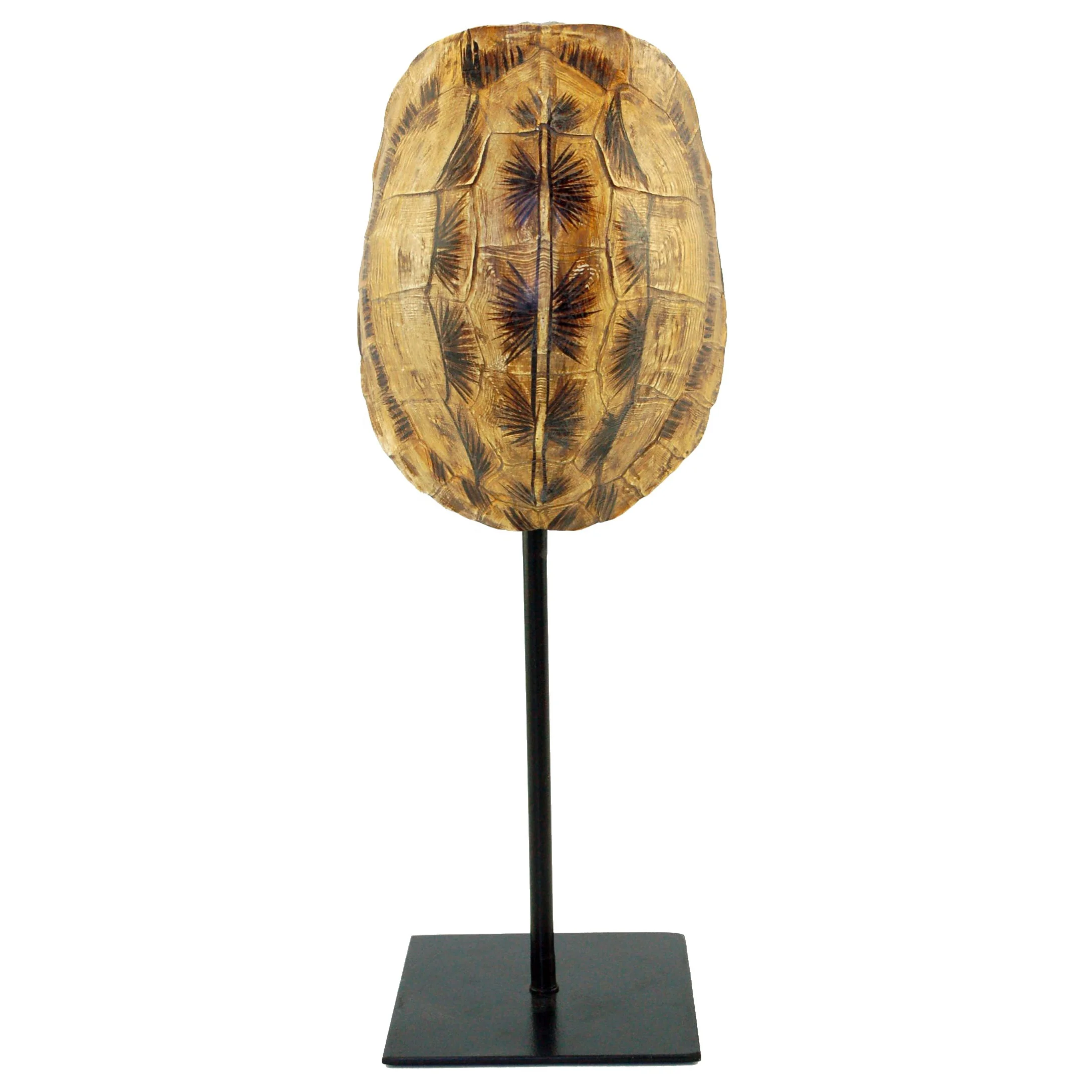 base de coquille de tortue décoration de maison avec sculpture métallique Europe artificielle résine artisanat animal 30% de dépôt cf1150242 réaliste