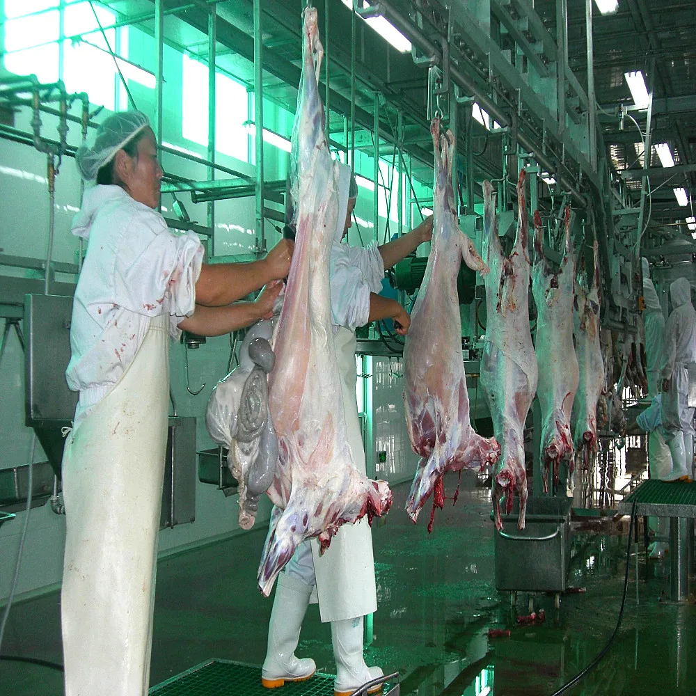 Turnkey Project Sheep Slaughter Line Halal Slaughter Machine Goat and Lamb Slaughterhouse Equipment