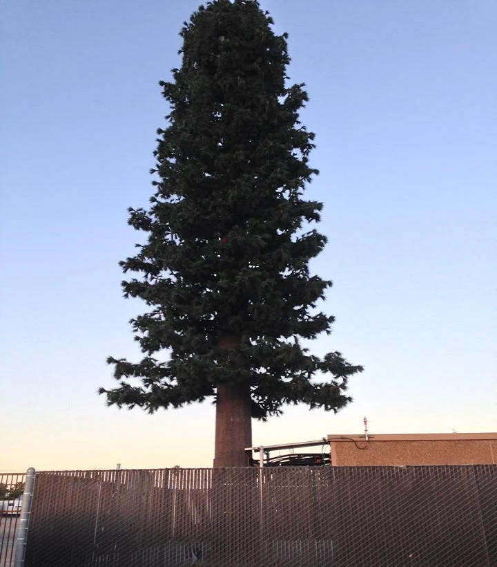 product-1-1 product-1-1