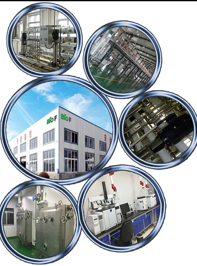 Bruine kleur Gezondheidsvoedsel Spice Cinnamon Powder Ceylon Cinnamon Extract Powder 10:1 4