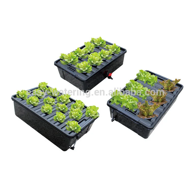 DWC  Propagation Seedling Trays Clones Equipment Hydroponics System