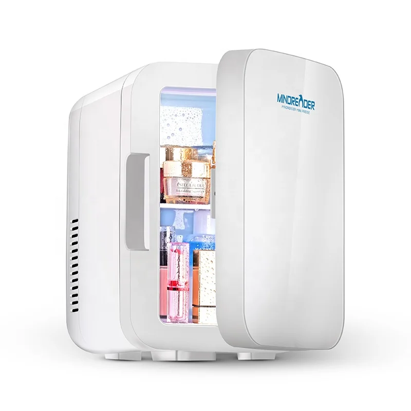 6l Mini Refrigerator Without Compressor Dc Ac For Beauty Skin Care Make